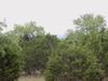 1215 Yaupon Dr, Fischer TX 78623